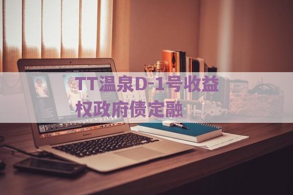 TT温泉D-1号收益权政府债定融