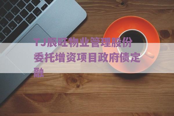 TJ辰旺物业管理股份委托增资项目政府债定融